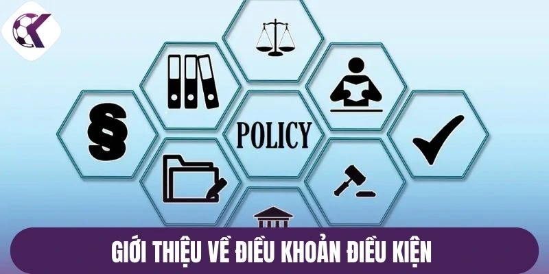Giới thiệu về điều khoản điều kiện