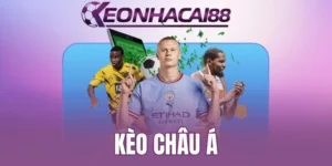 Chia sẻ kinh nghiệm quan sát thay đổi tỷ lệ