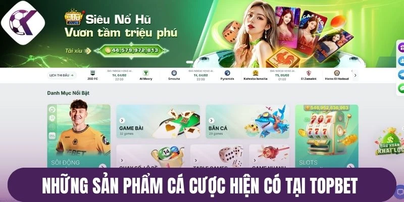 Những sản phẩm cá cược hiện có tại Topbet