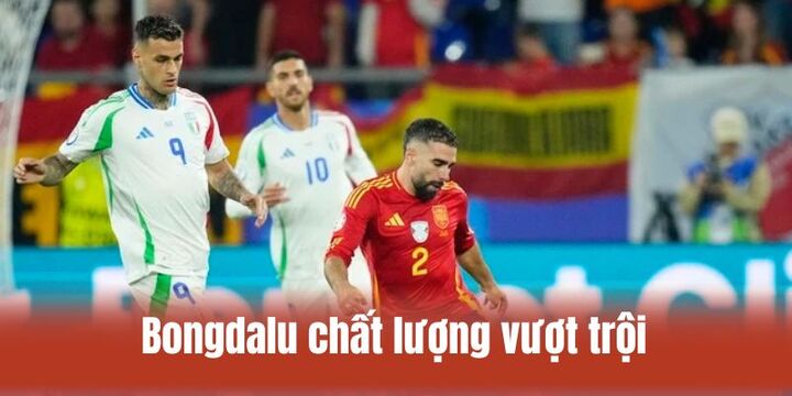 Vài nét cơ bản cần biết về website Bongdalu