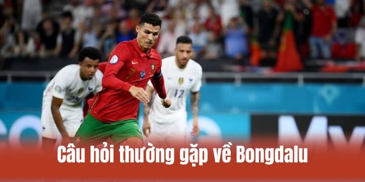 Chuyên gia giải đáp thắc mắc về Bongdalu