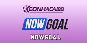 Nowgoal - Giải trí dễ dàng cùng kiến thức soi kèo chuẩn